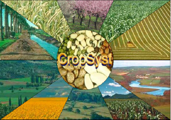 CropSyst model